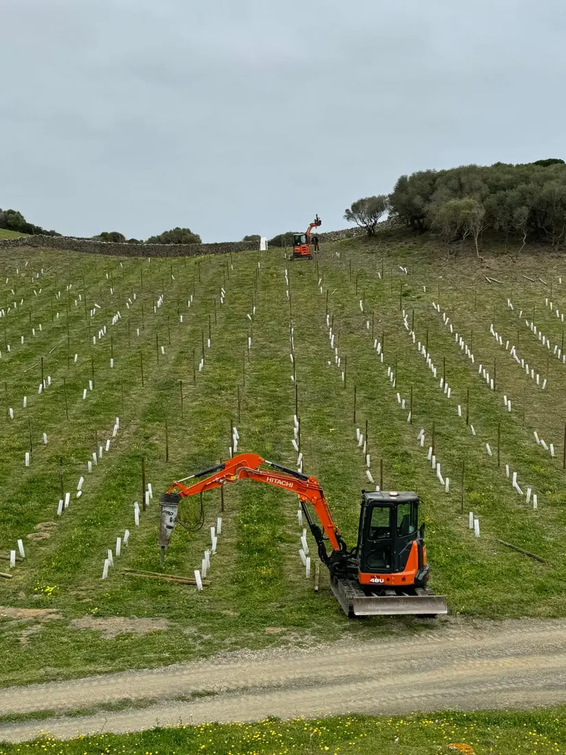 Miniexcavadora trabajando sobre parcela replanteada con estacas